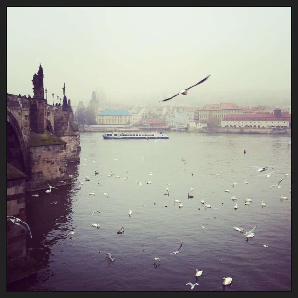 The Charles bridge in the fog with a bird flying past