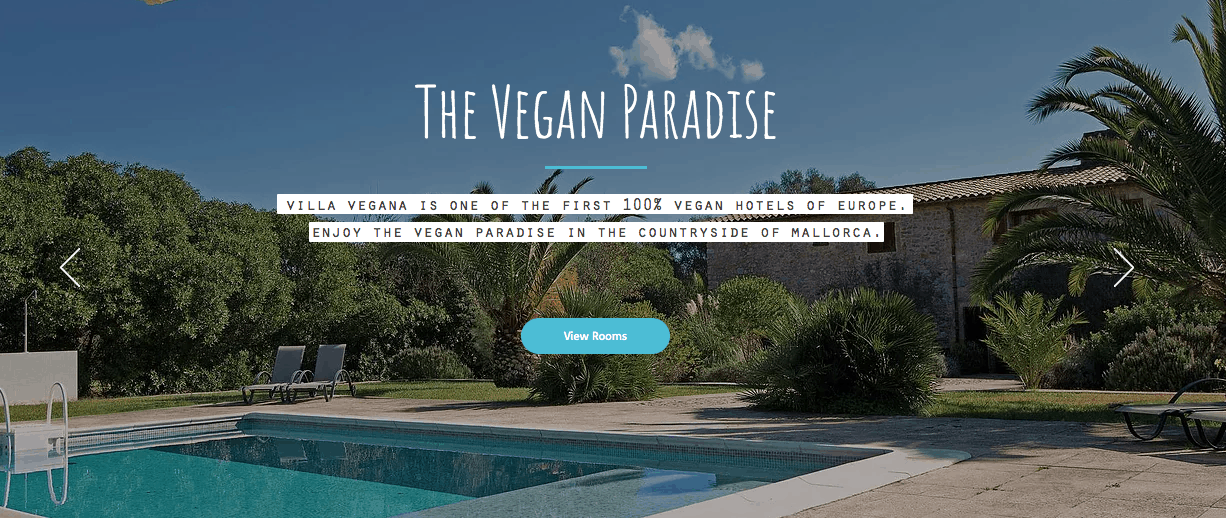 Screenshot of hotel page showing pool with text "the vegan paradise"