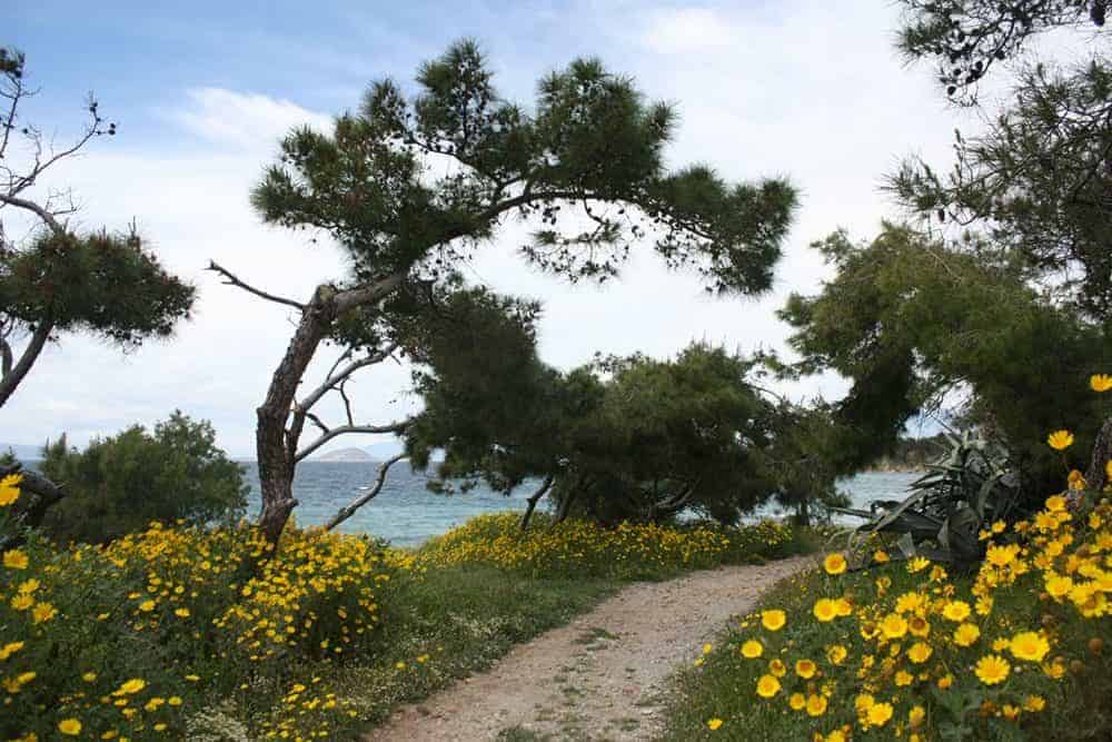 aegina, greece