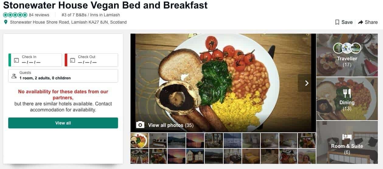 Plate of cooked vegan breakfast