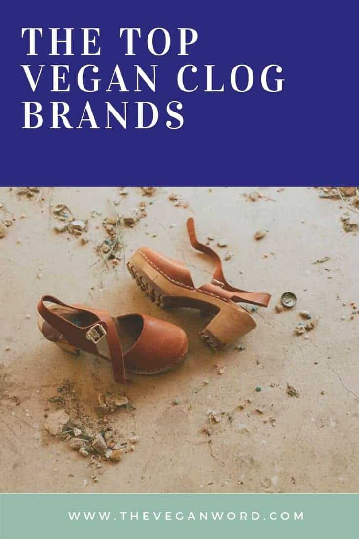 Pinterest image showing brown heeled clog sandals