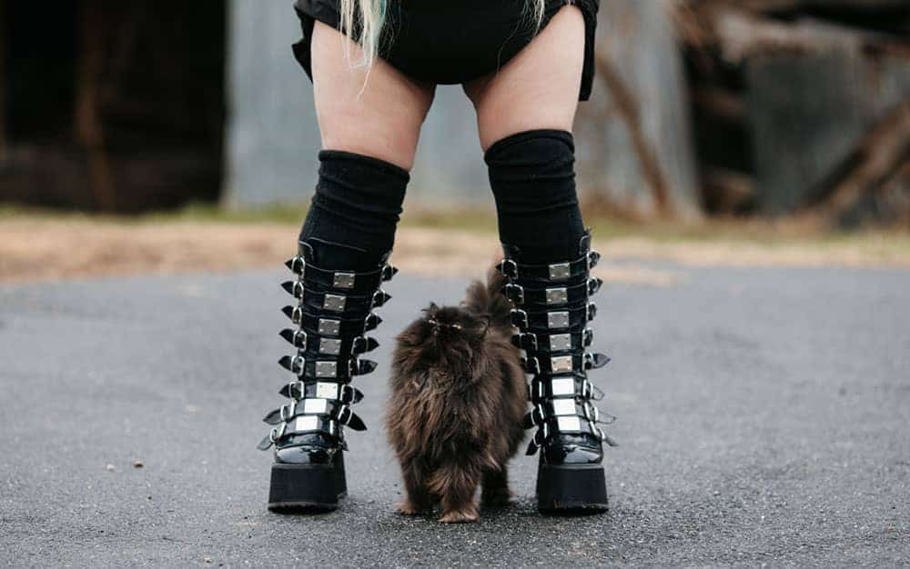 Person standing with cat between their legs, wearing black spiky knee high goth boots