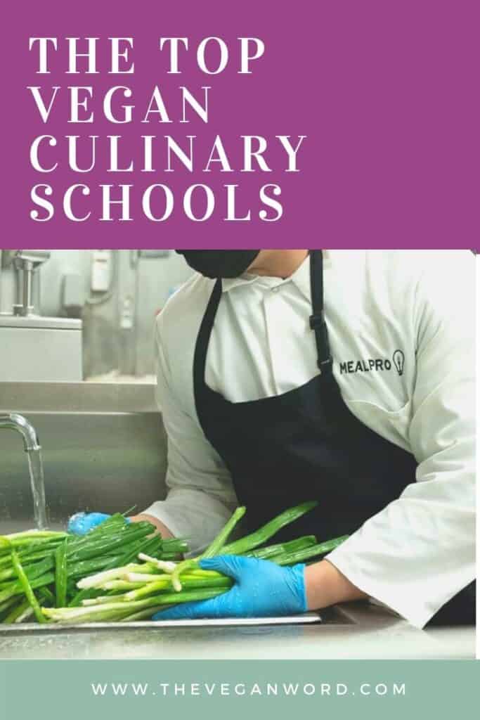 Pinterest image showing chef washing spring onions. Text says "The top vegan culinary schools"