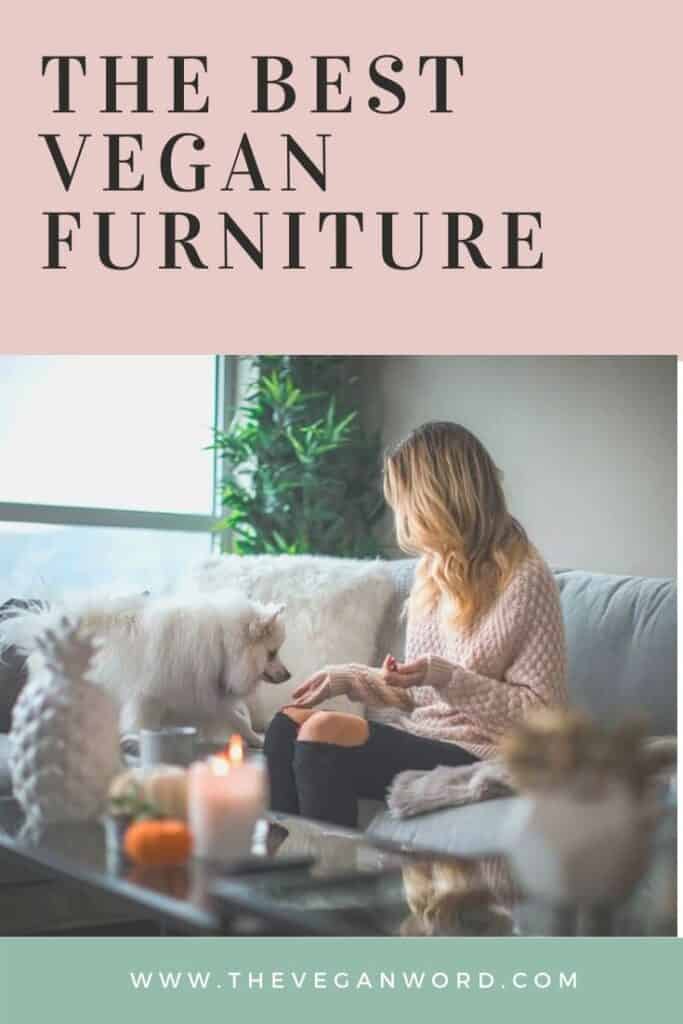 Pinterest image showing person and dog sitting on sofa, with title "the best vegan furniture"