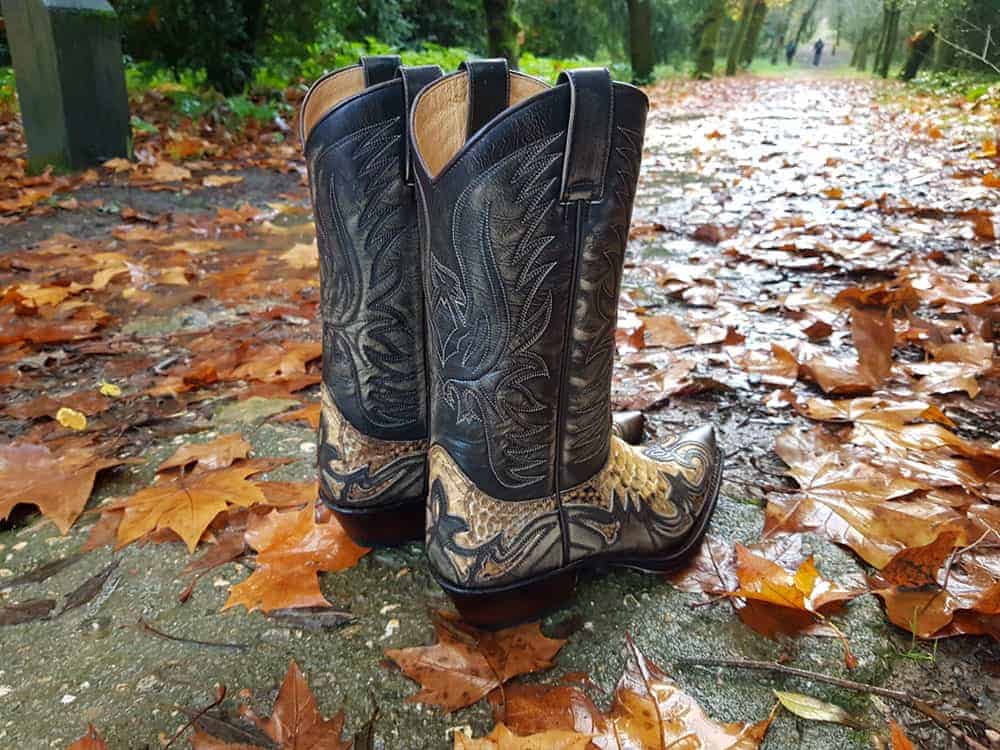 Black high top cowboy boots on path with leaves