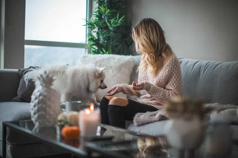 Person and dog sitting on grey sofa with candle burning in foreground