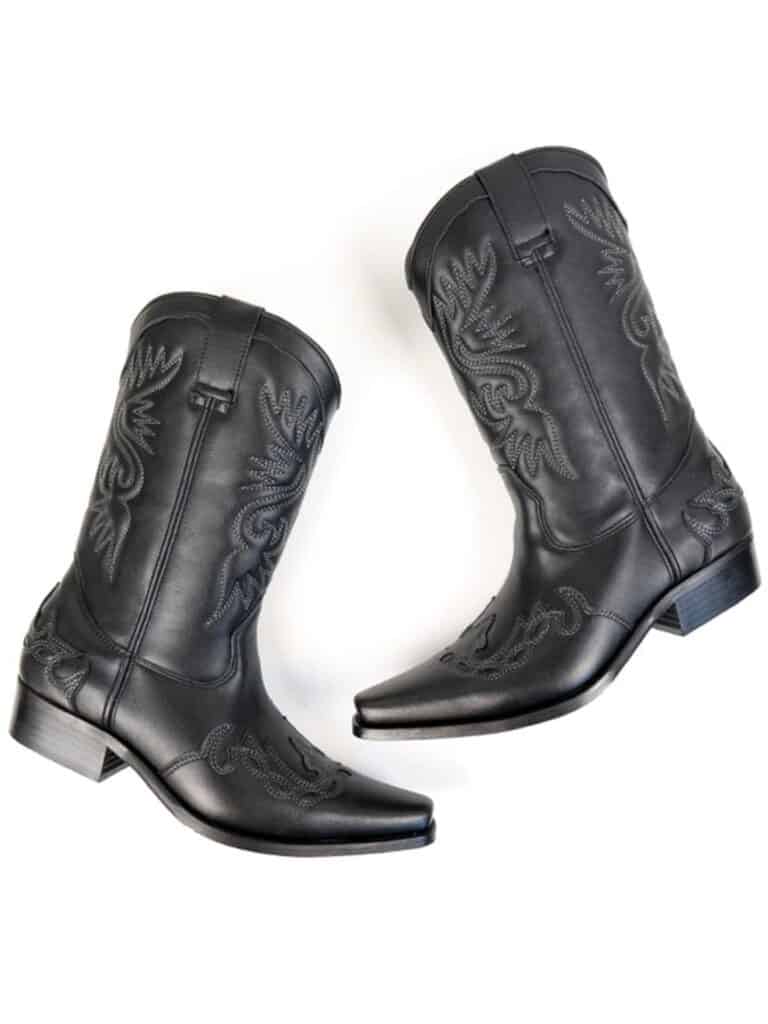 Wills embroidered vegan Western boots